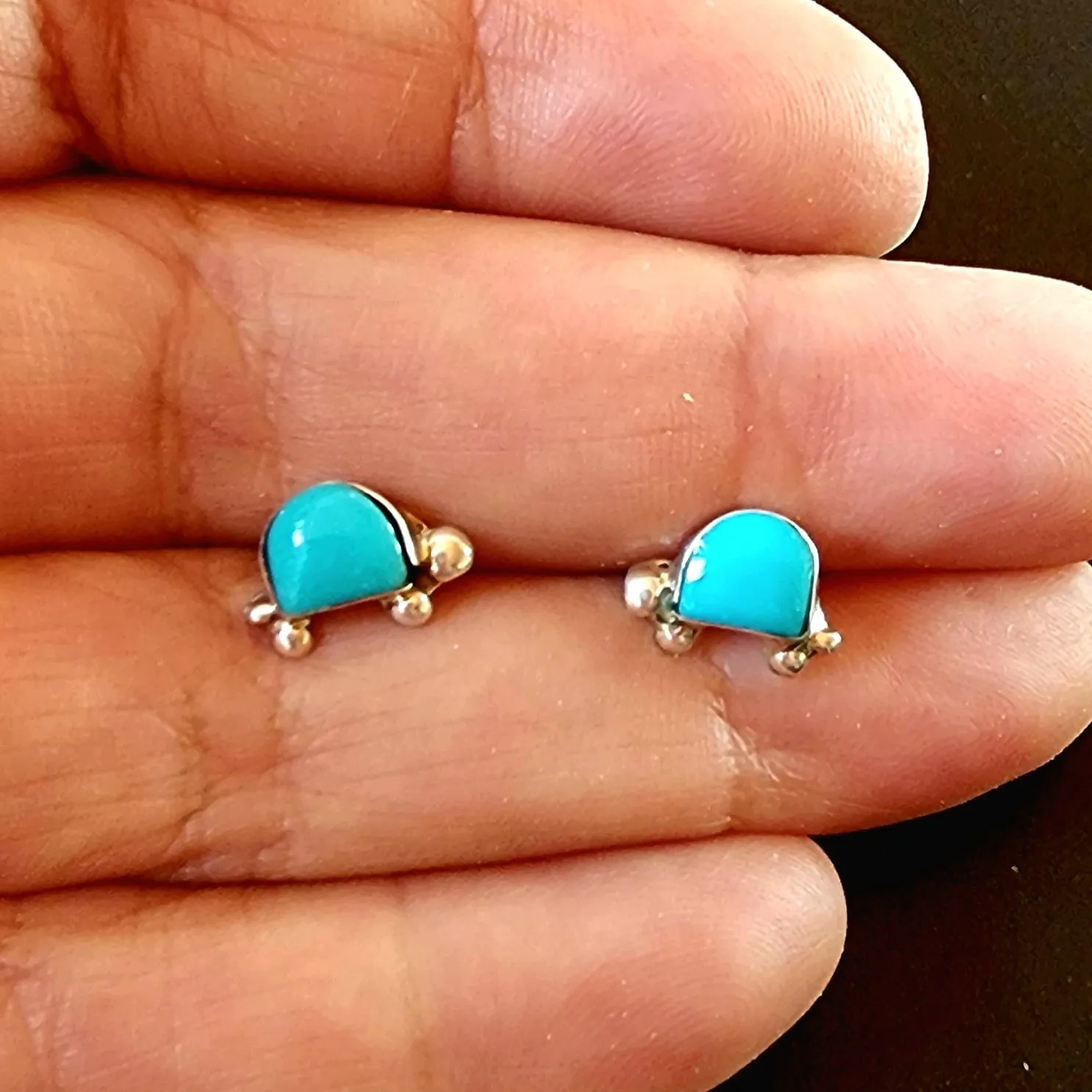 Native American Turtle Post Earrings